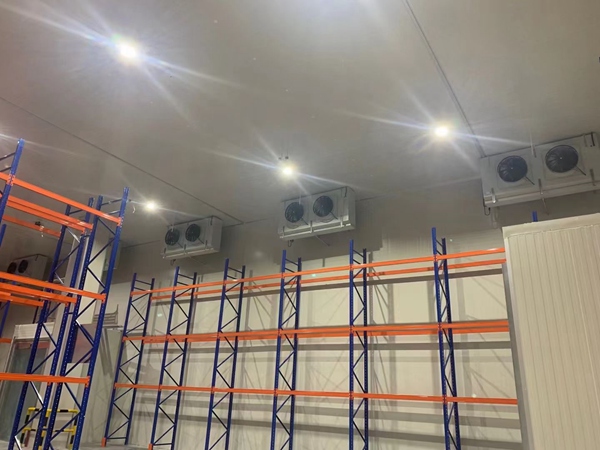 安平縣老家食品有限公司1800平米低溫冷藏庫+零下50度急凍庫項目